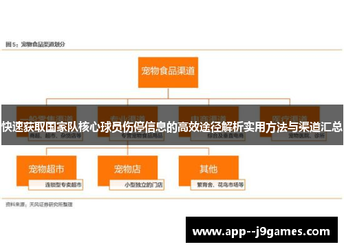 快速获取国家队核心球员伤停信息的高效途径解析实用方法与渠道汇总 快速获取国家队核心球员伤停信息的高效途径解析实用方法与渠道汇总