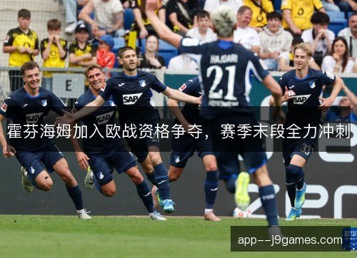 霍芬海姆加入欧战资格争夺,赛季末段全力冲刺 霍芬海姆加入欧战资格争夺,赛季末段全力冲刺